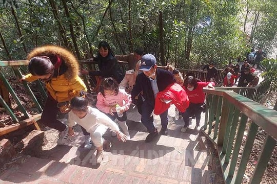 Lối đi bộ xuyên rừng lên đền Cao An Phụ hấp dẫn du khách
